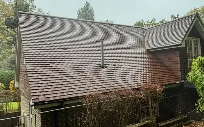 After: Full moss removal and treatment in Horsham, clean roof