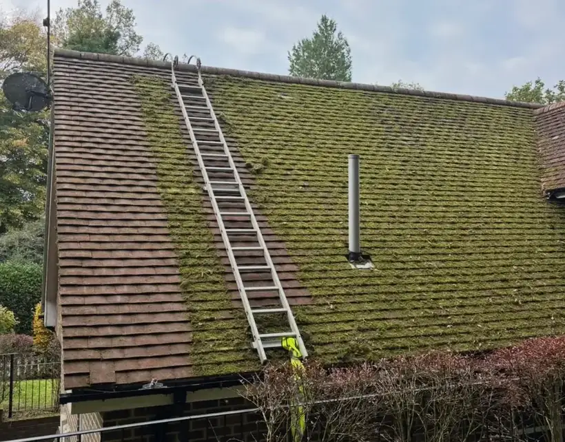 Before: Full moss removal and treatment in Horsham, roof covered in moss