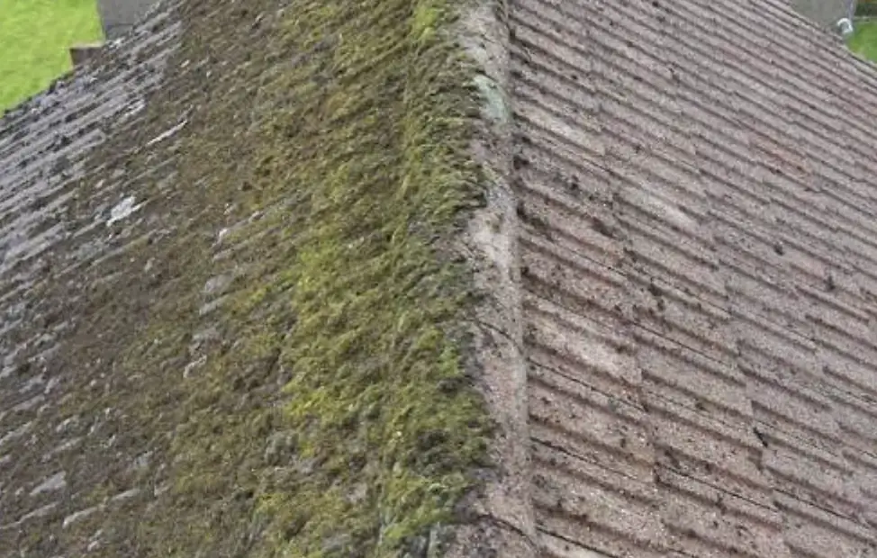 Roof ridge with thick moss on one slope and a clean slope on the other