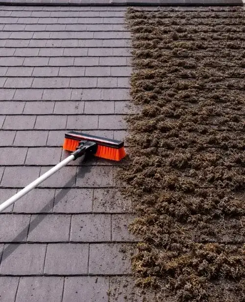 Moss being brushed off grey slate tiles