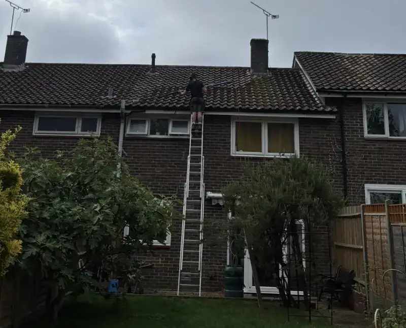 Arcline removing moss from a terraced house roof from a ladder