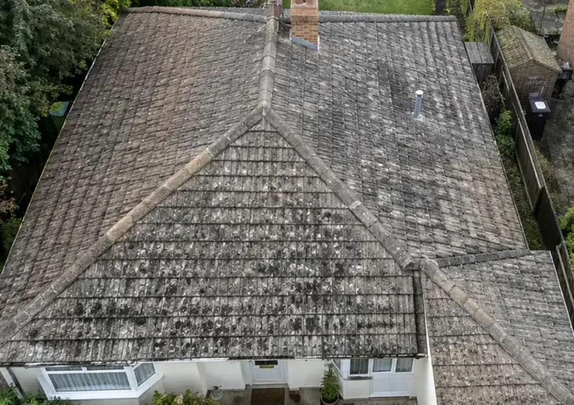 After: Bungalow roof, moss removed, clean roof