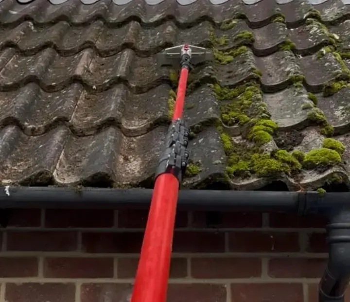 Moss being scraped by hand from roof tiles above the gutter